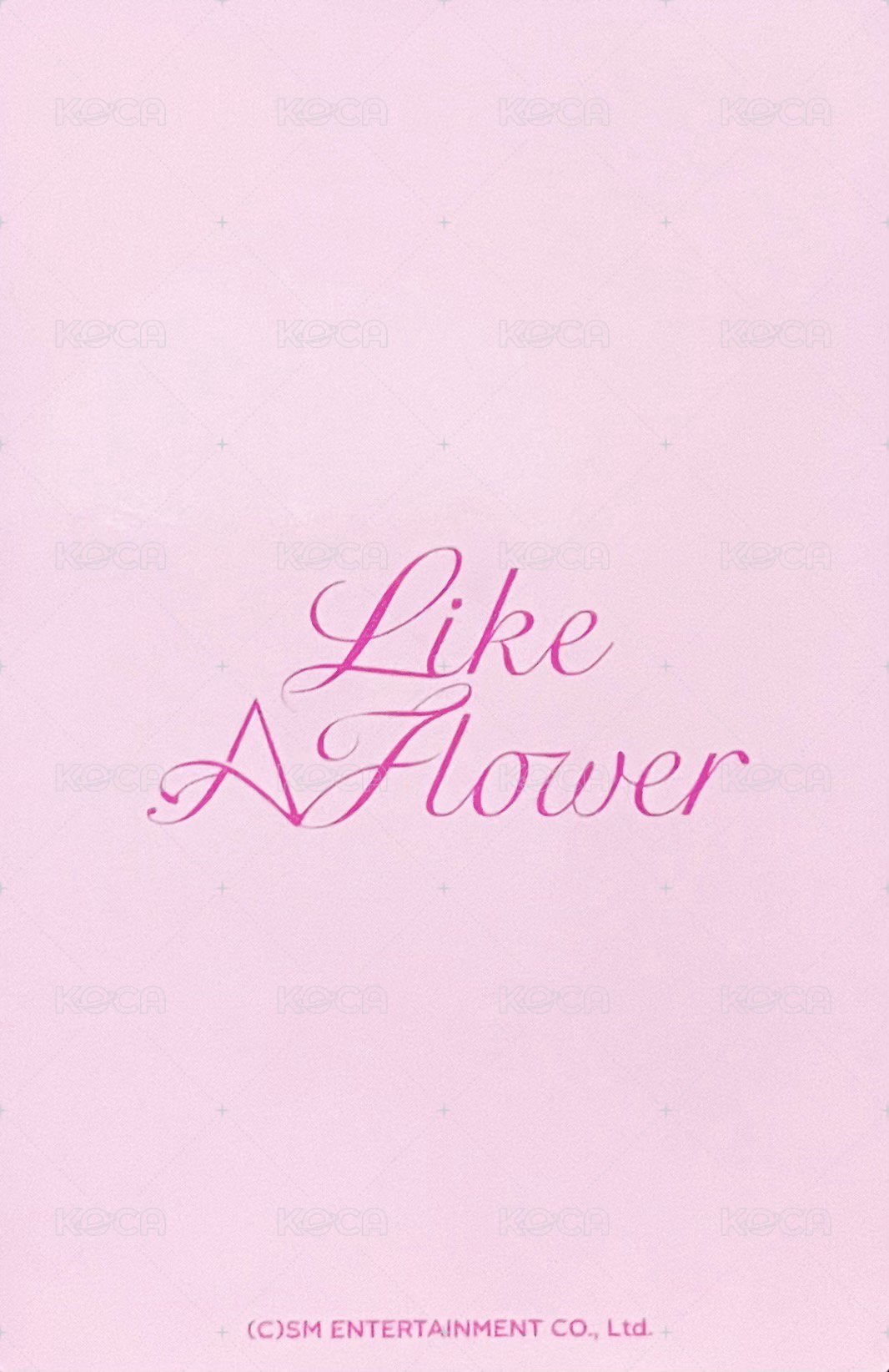 Like A Flower 隨機卡 粉髮姐 背面