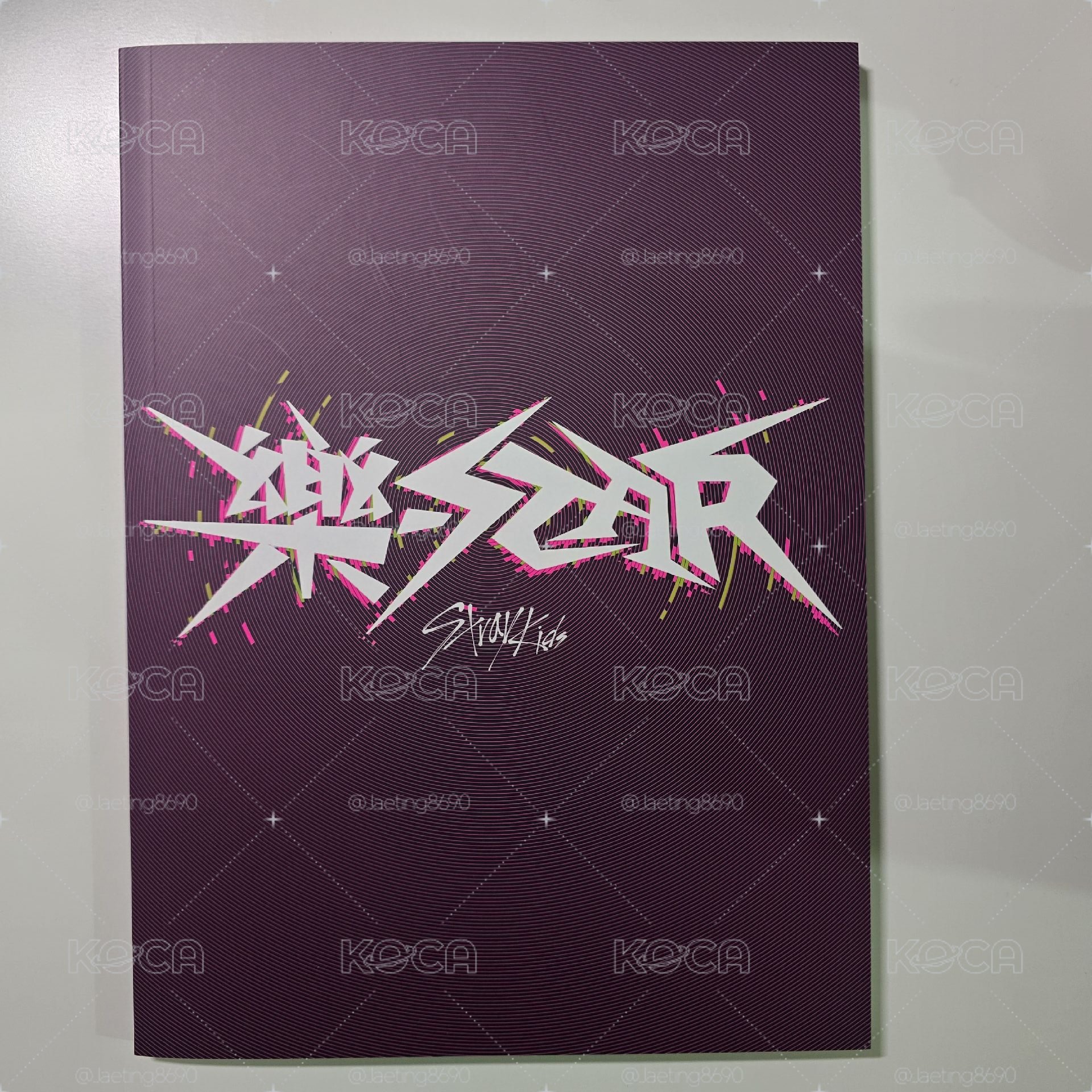 Stray Kids 樂-STAR 限量版 全專