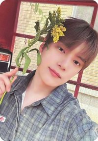 THE X "XX" 專輯卡 