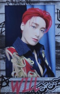 WILL 快閃店 周邊卡 TIN CASE INSTANT PHOTO SET