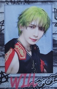 WILL 快閃店 周邊卡 TIN CASE INSTANT PHOTO SET