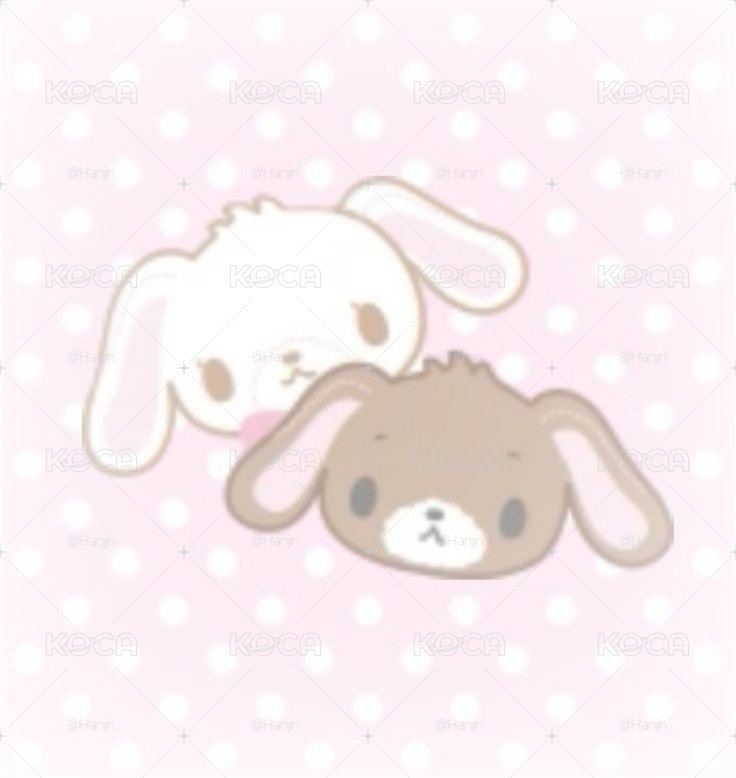 韓振小卡區~~