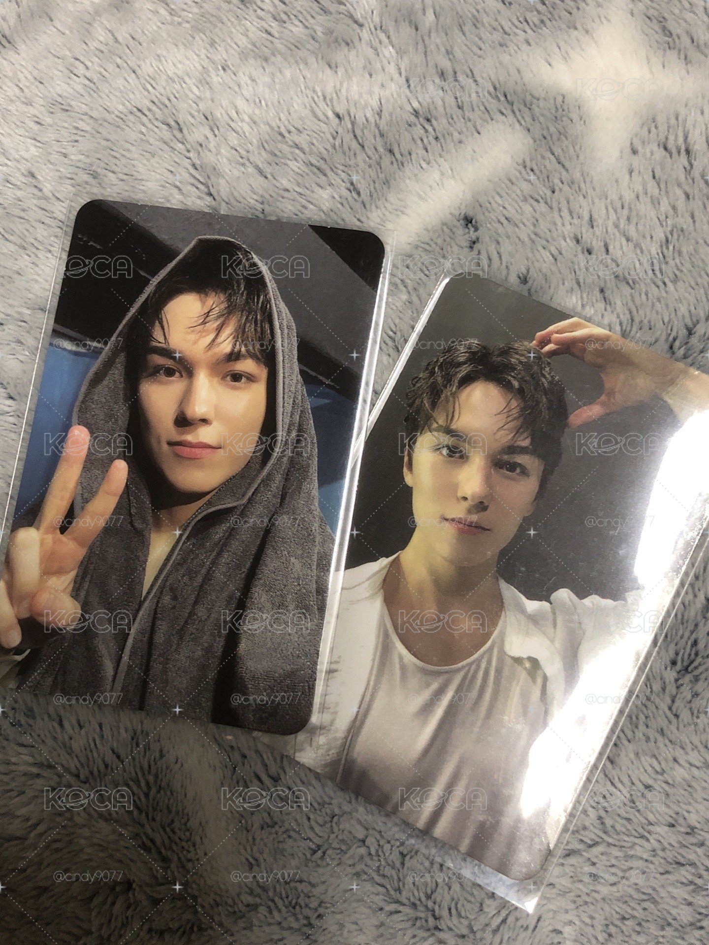 seventeen Vernon 毛巾率（含全專）