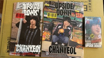 朴燦烈 迷二 UPSIDE DOWN 未拆專