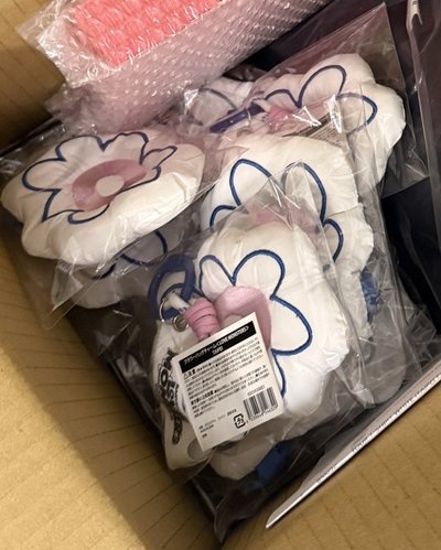 亞洲FC 台北限定小花 