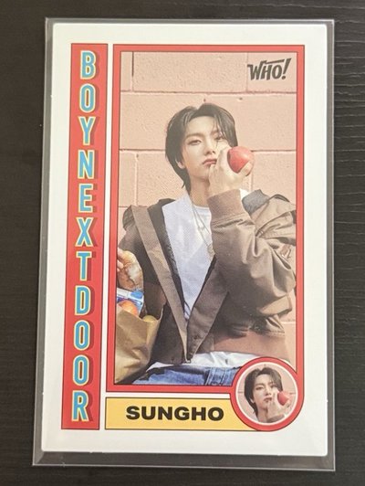 Who! 電子專 sungho 專卡