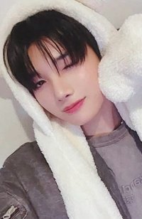 雪明 環球 特典卡 動物卡