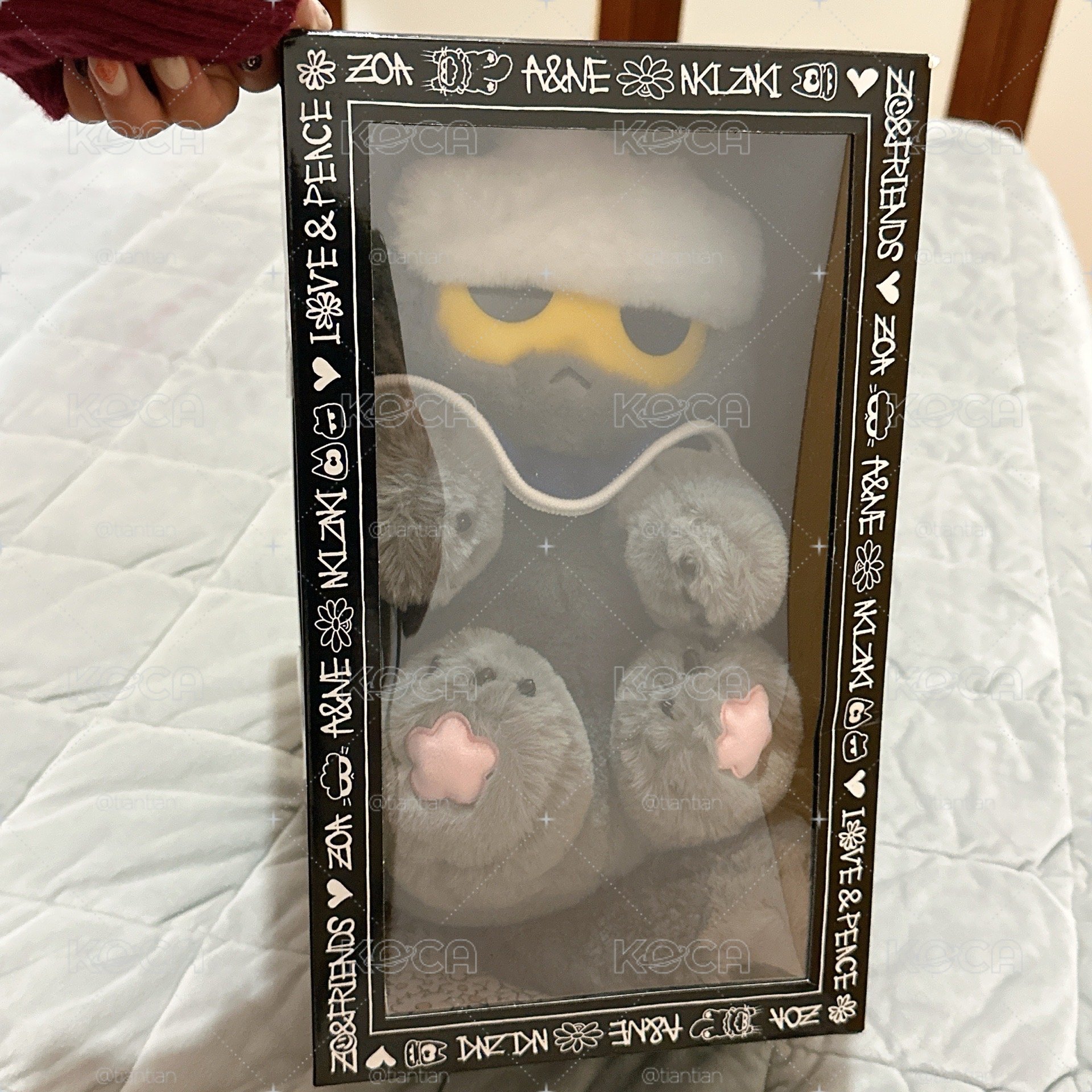 ZO&FRIENDS 中娃釜山快閃店購買