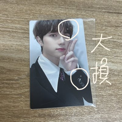 （皆大損）553熊背圭 舊蝦皮圭 校服圭