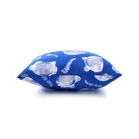 CUSHION (blue)