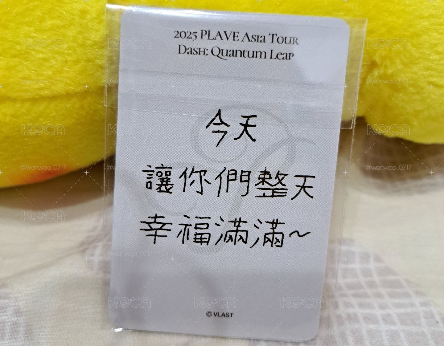 PLAVE 2025臺灣場粽卡一套+限定貼紙