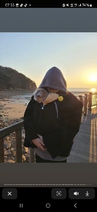 努力存錢養汪中