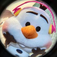 珊