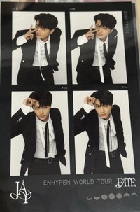 FATE世巡 周邊卡 人生四格