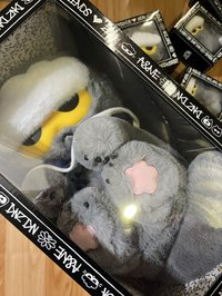 Zoa中娃