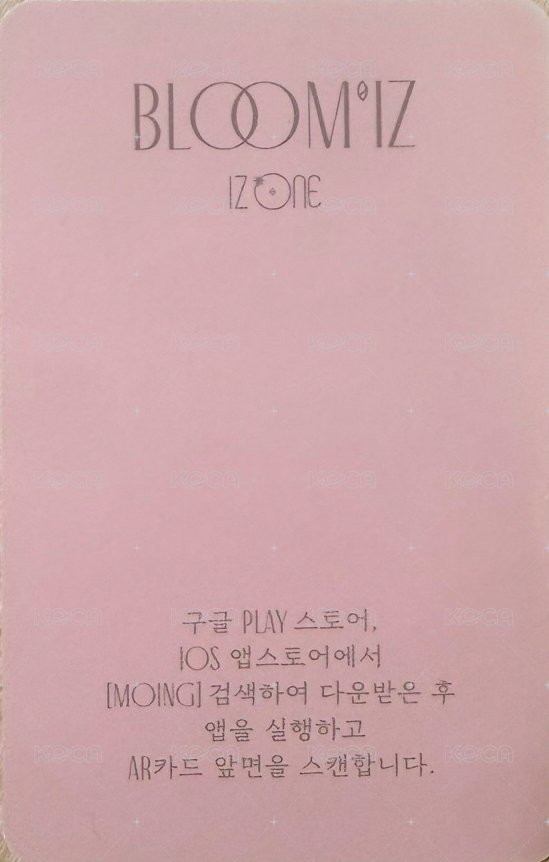 BLOOM*IZ 專輯卡  背面