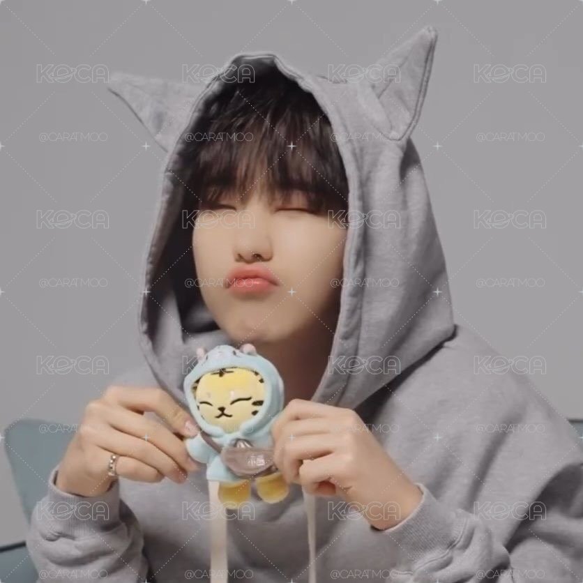 HOSHI散卡們🐯