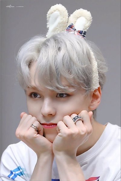 VERNON小卡們🐻‍❄️