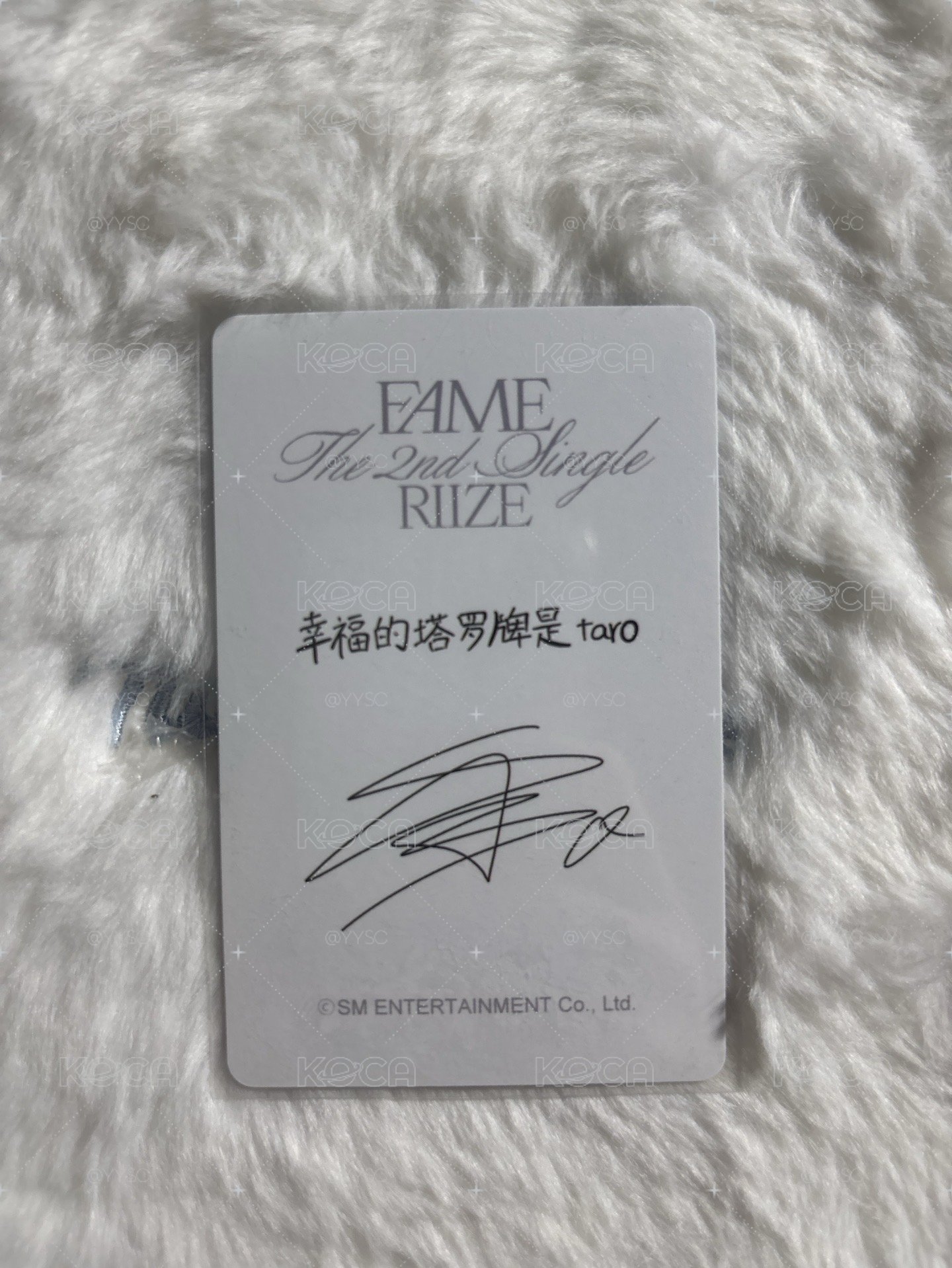 現貨 SHOTARO 醬太郎 FAME 泡泡摩奇 Chamber 特典卡 B版