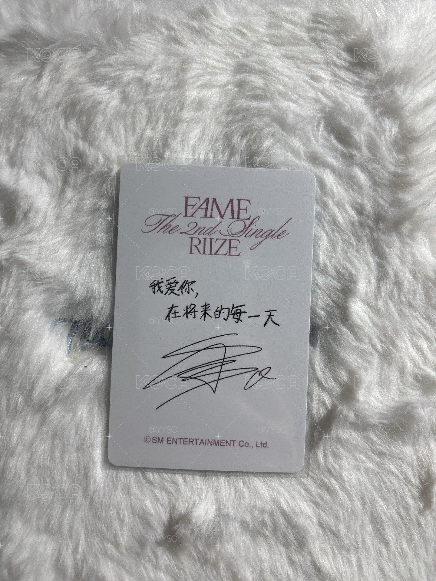 現貨 SHOTARO 醬太郎 FAME 泡泡摩奇 Chamber 特典卡 A版