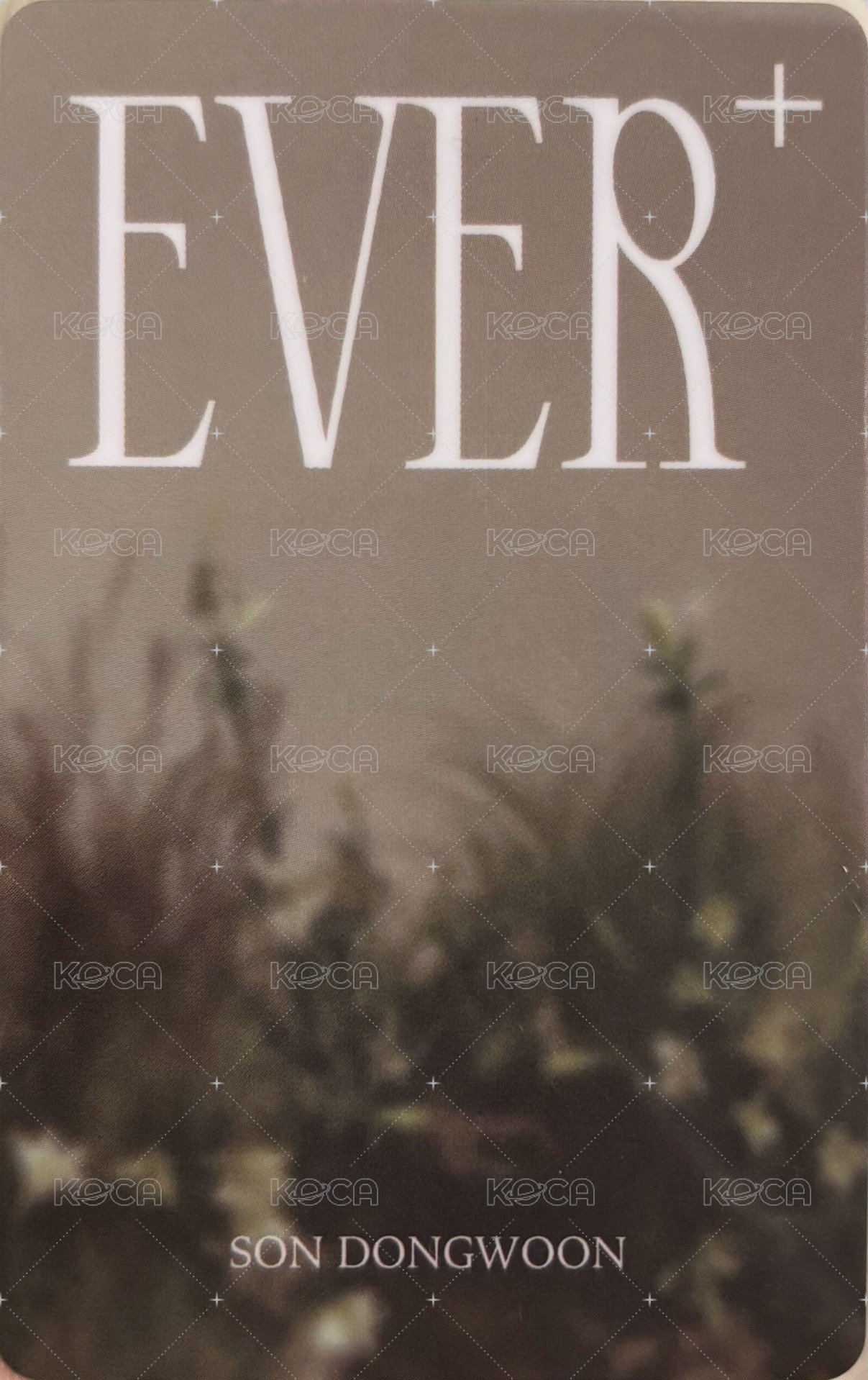 Ever+   幸運卡  背面