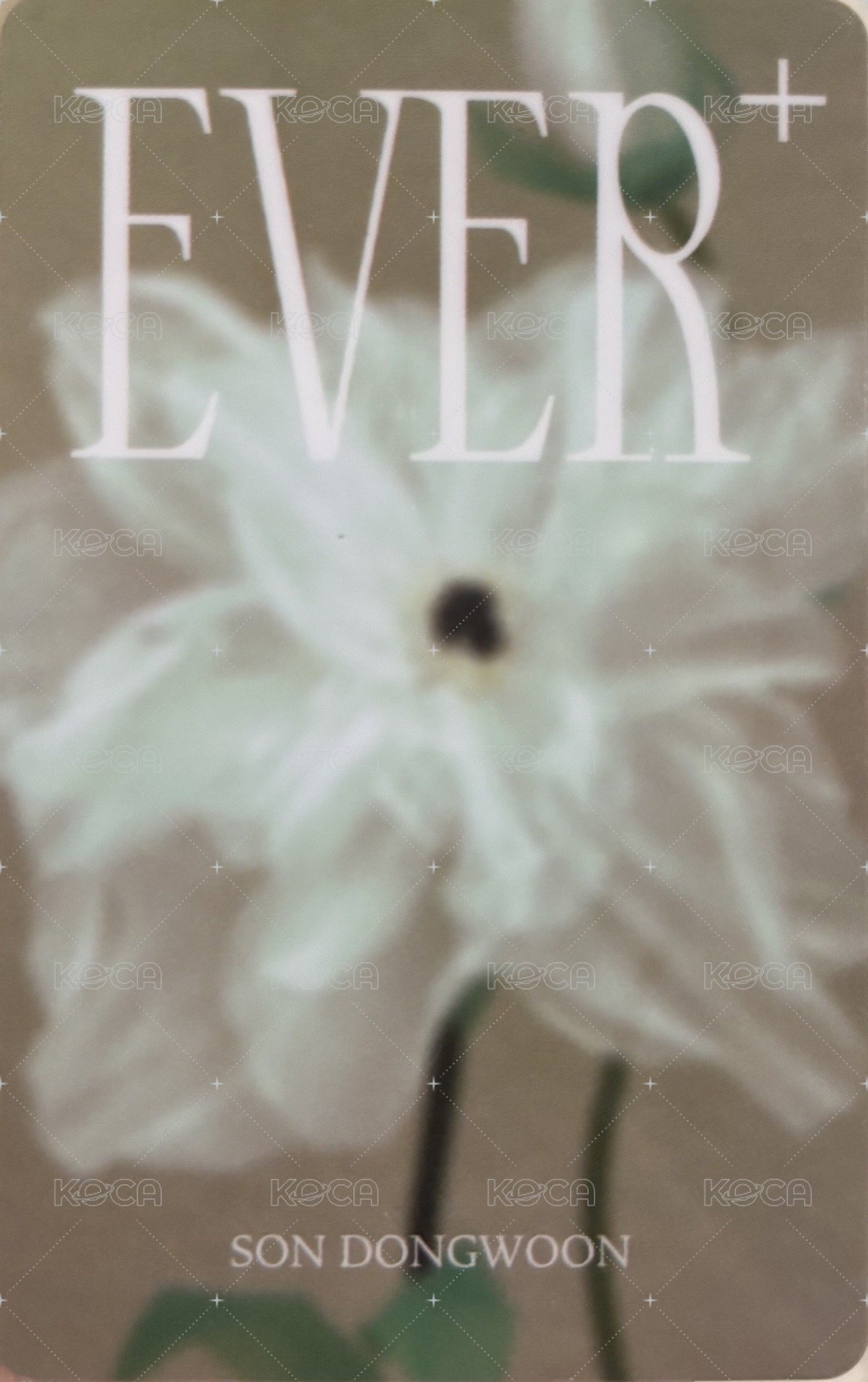 Ever+   幸運卡  背面