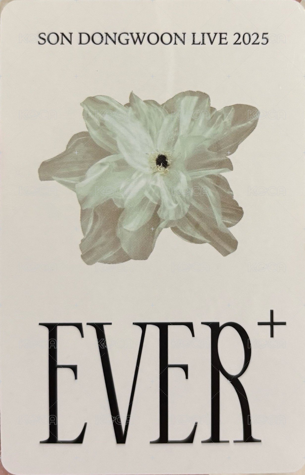 Ever+ 杯子 周邊卡  背面