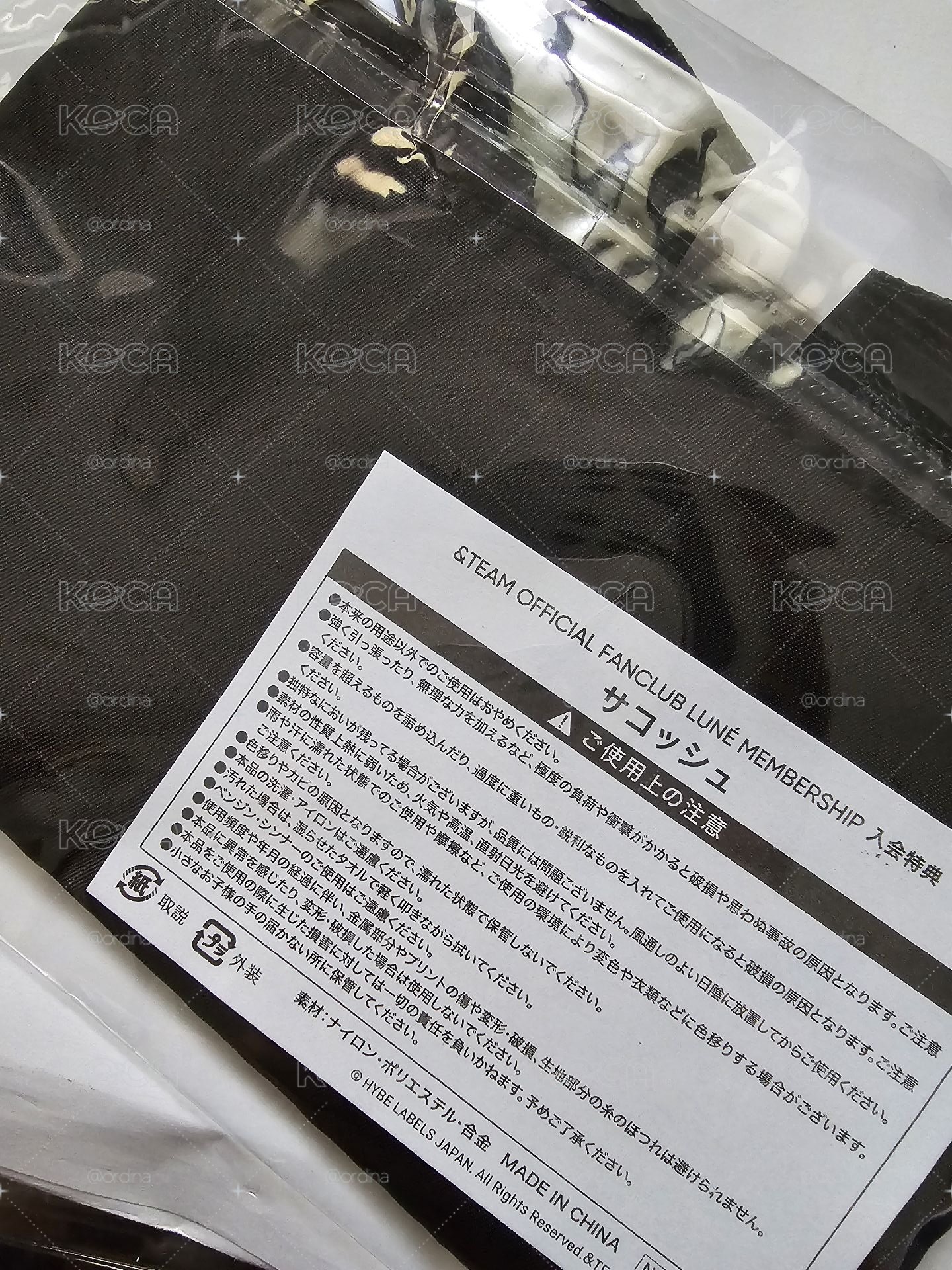 &TEAM 日本會員 入會特典