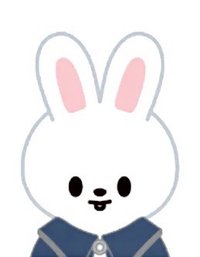 4th FM 周邊卡 證件照卡套