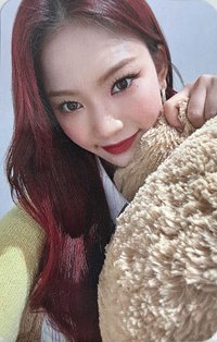 泰迪熊 日版 專輯卡 