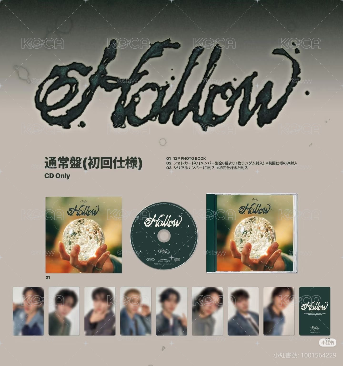 hollow通常盤 未拆