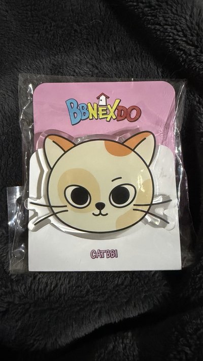 出清一些周邊 TXT BOYNEXTDOOR 