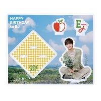 2025~2026 生日立牌