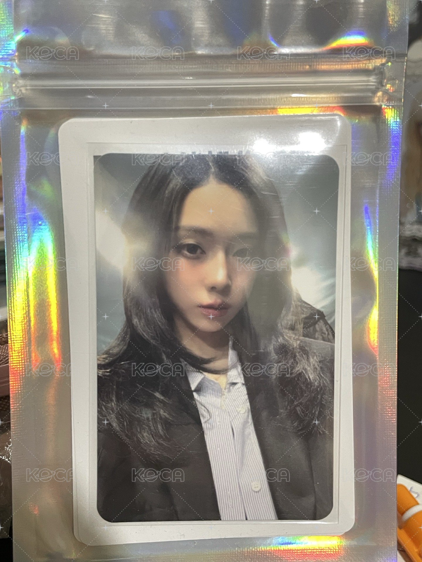 四星冬