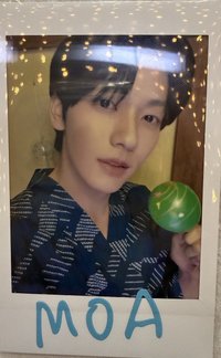 25日本夏日 隨機卡 拍立得