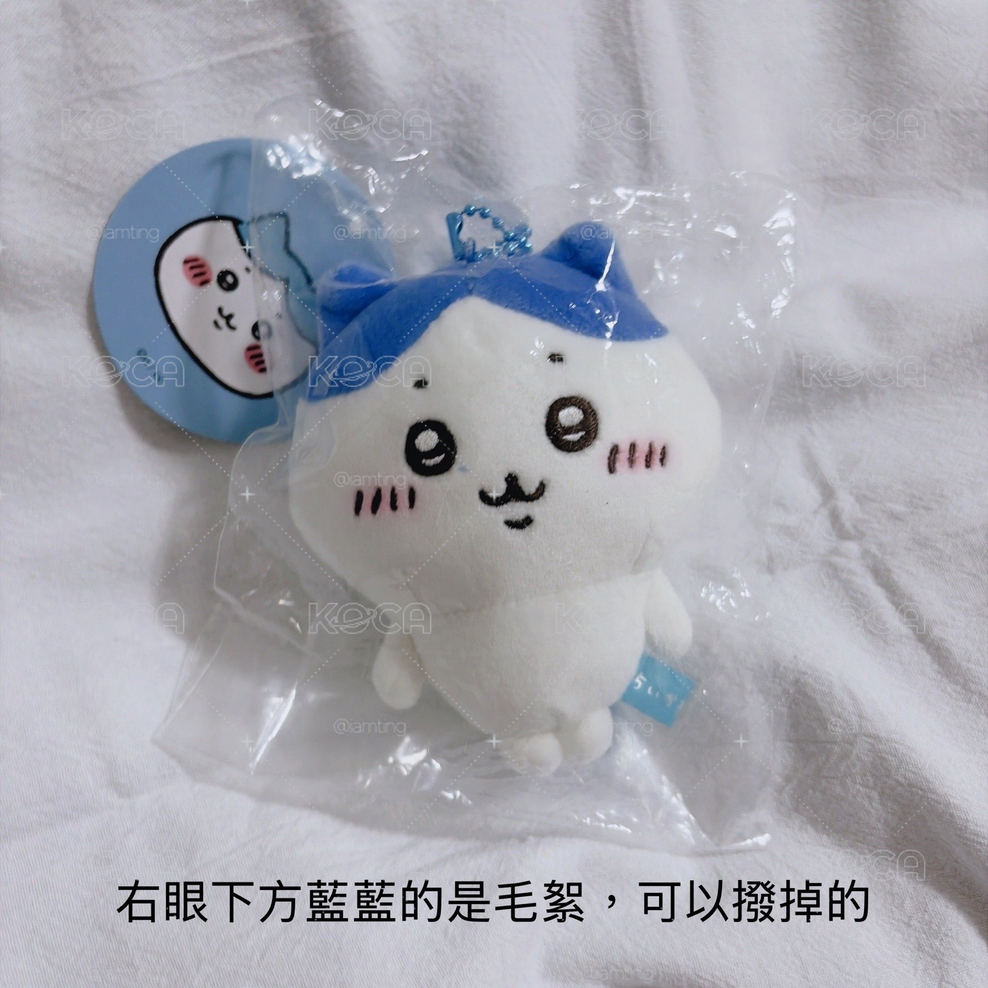 基礎小腳 小八