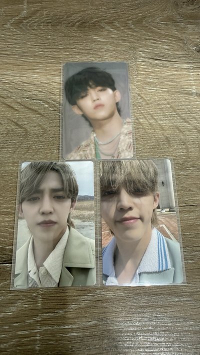 seventeen 正規四 哲