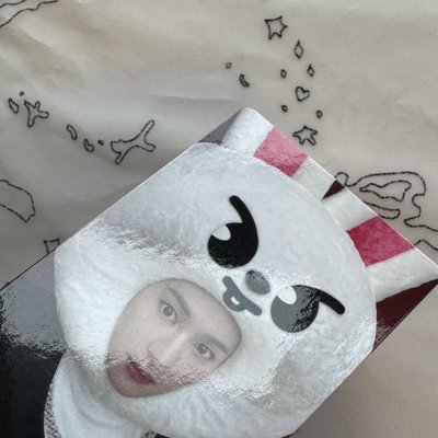 Stray Kids LeeKnow李旻浩 MAXIDENT JYP 動物頭