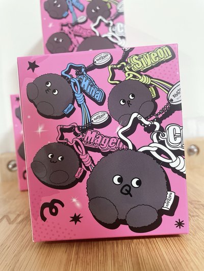 QWER 未拆 語音石頭娃娃 隨機盲盒