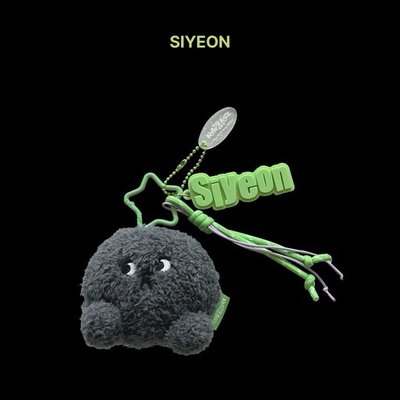 QWER 未拆 語音石頭娃娃 隨機盲盒