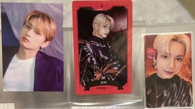 俊 Jun 文俊輝 盤出 共40張小卡