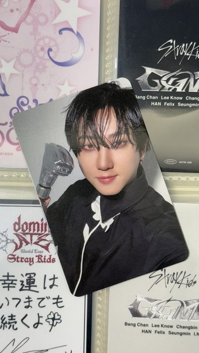 Stray Kids ATE彬專卡