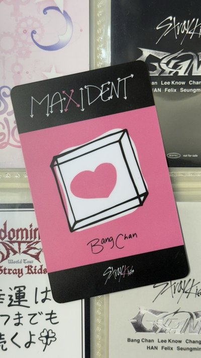 Stray Kids 方燦特典