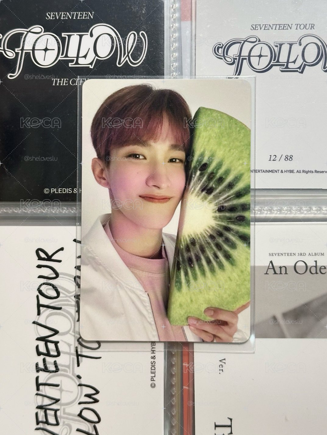 奇異果碩🥝