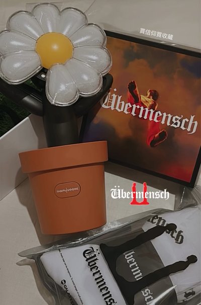 GD手燈+盆栽+襪子組