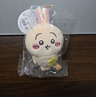 出遊兔