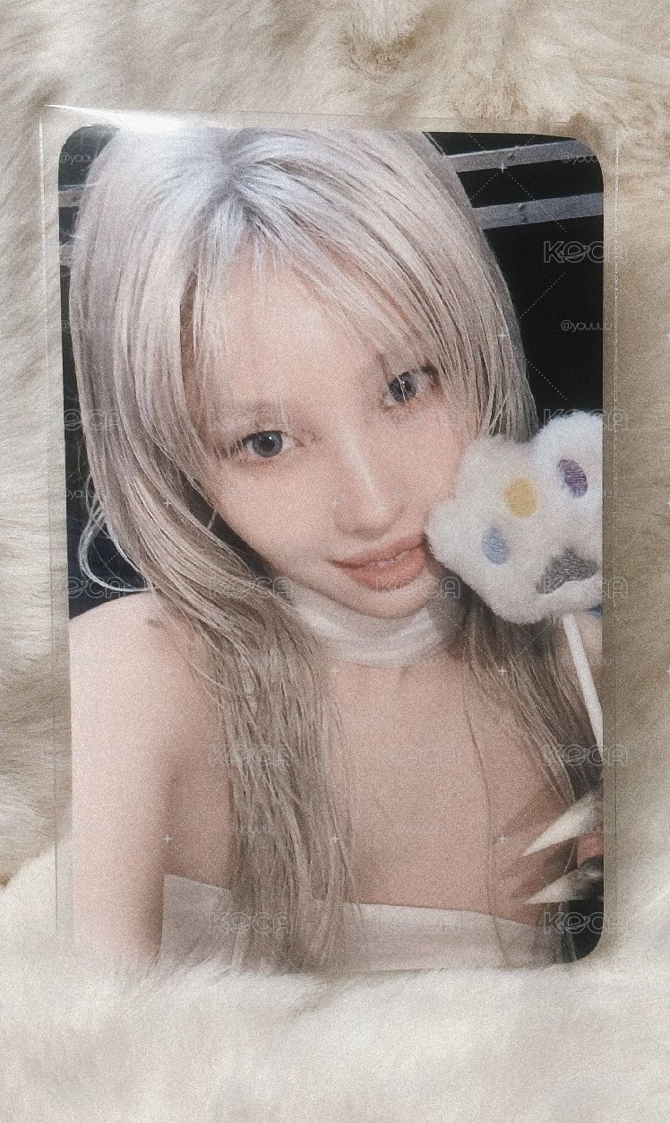 小貓⦮ ⦯