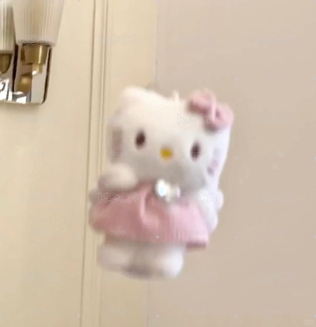 🩷小卡福袋