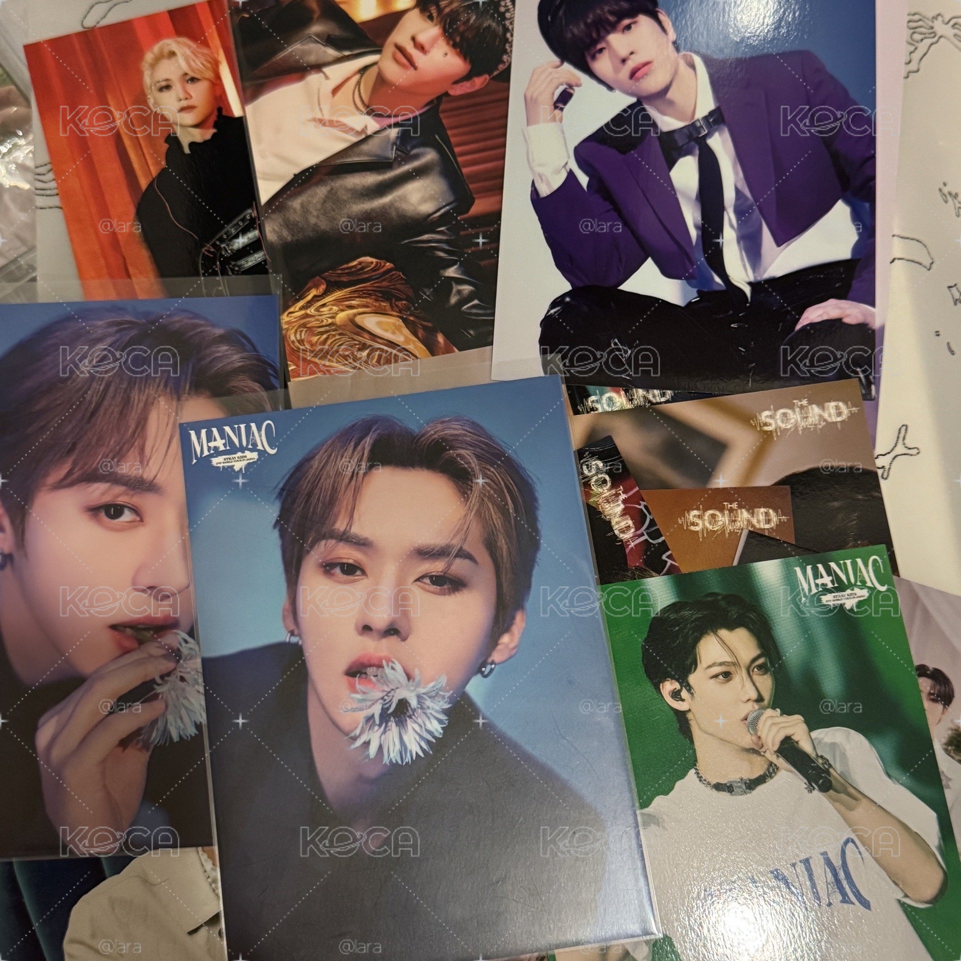 Stray Kids 日週大卡