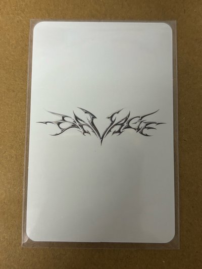 aespa Winter 冬天 Savage 專輯卡 p.o.s ver.冬 冬-37